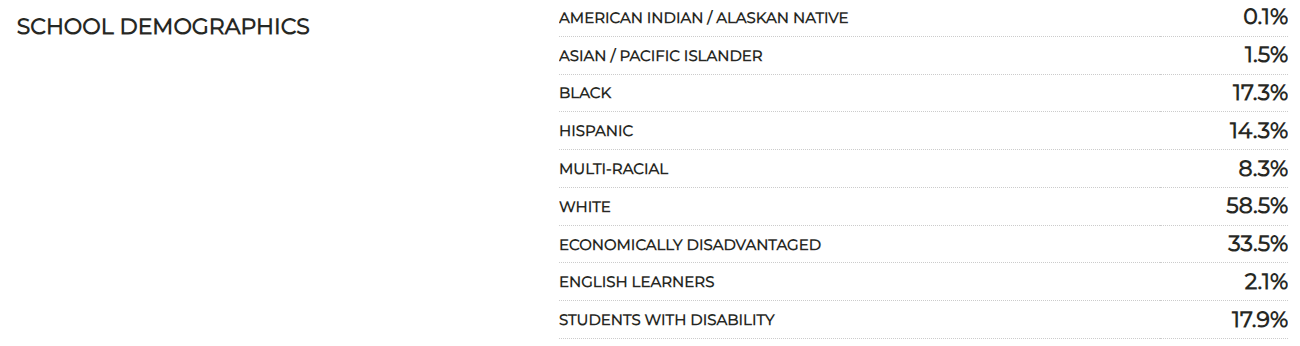 School demographics