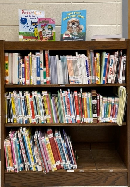 bookshelf full of books