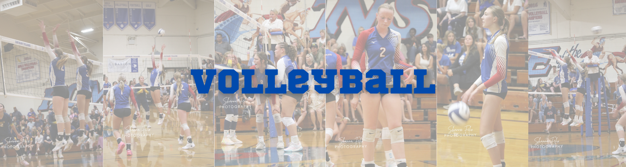 Volleyball