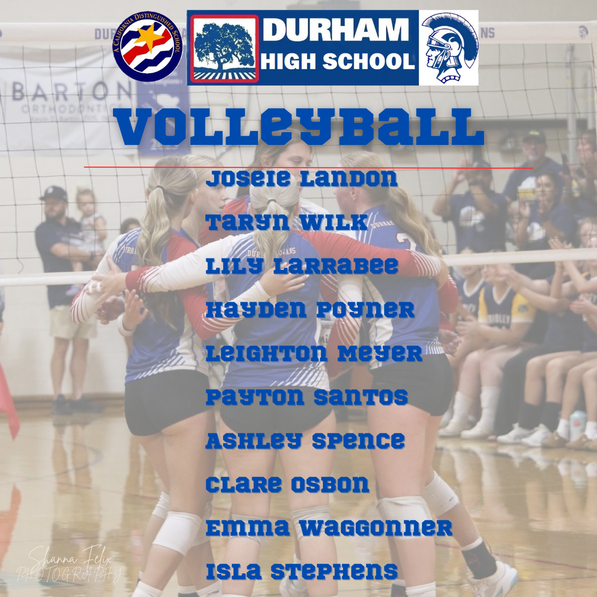 volleyball