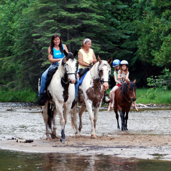 three person riding a horse