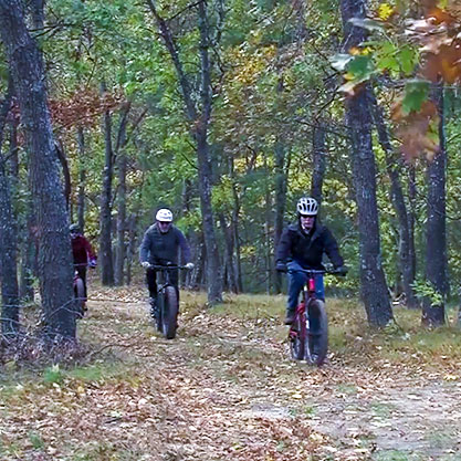 people in bikes riding in the woods