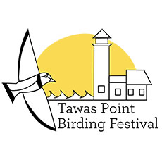 tawas point birding logo