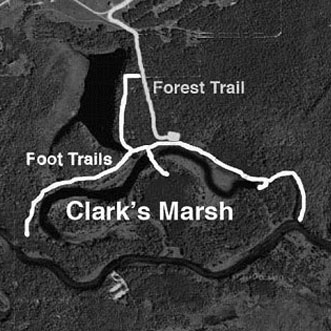 Clark's marsh map