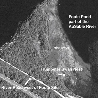 trumpeter swan nest map