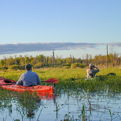 tuttle marsh mans in the lake