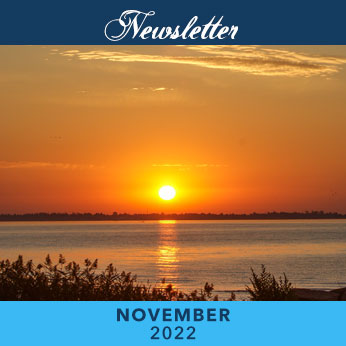 November 2022 Newsletter cover