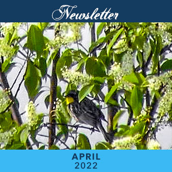 April 2022 Newsletter cover