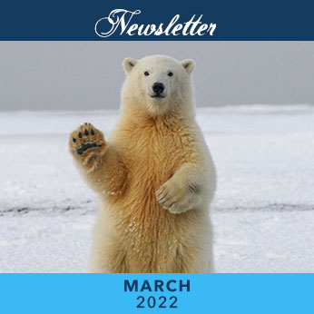 March 2022 Newsletter cover