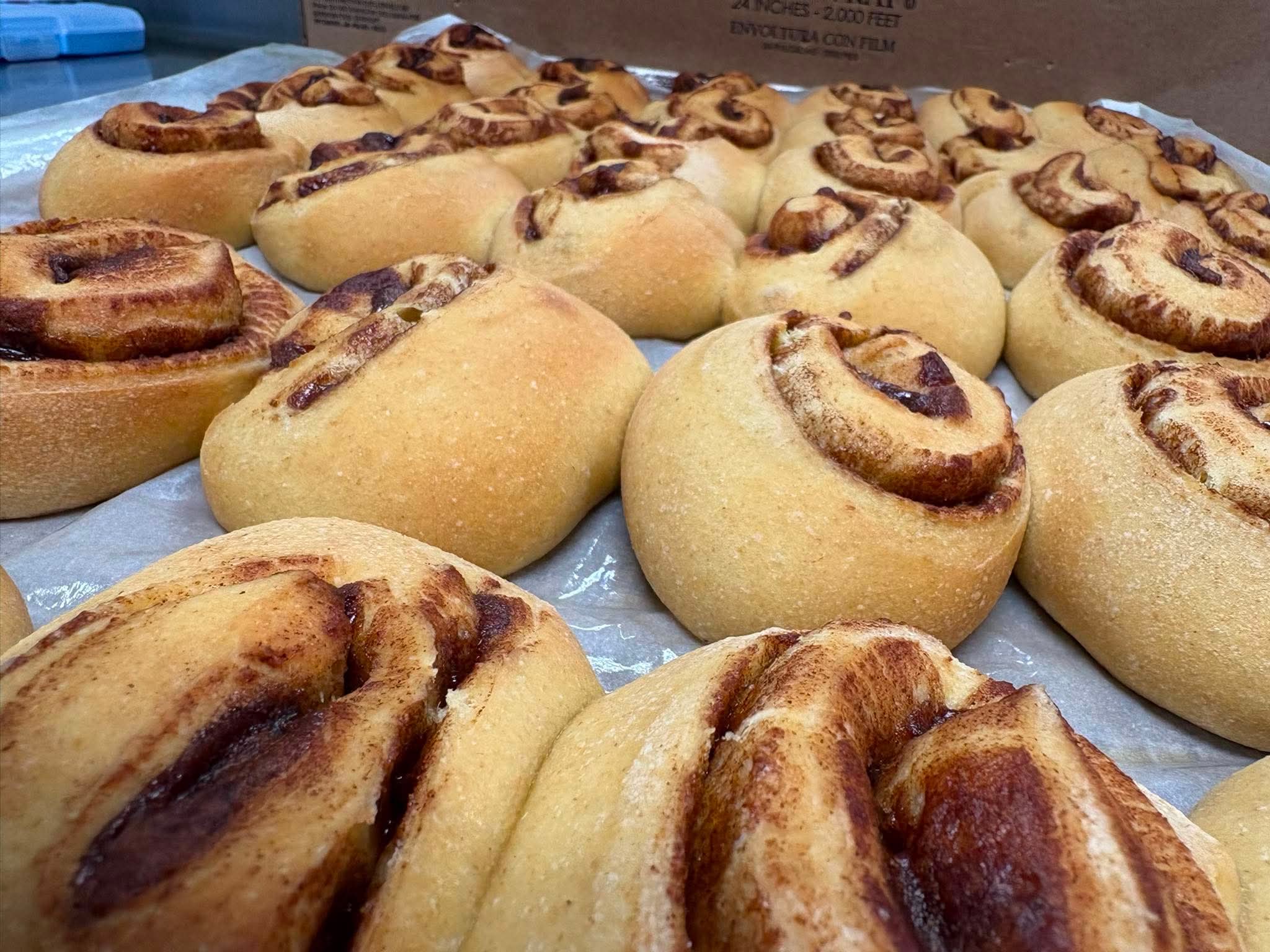 dces cinn rolls