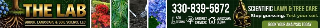 A collage of three images. The first shows text in yellow on black. The second features a blue flower. The third has white text on green.
