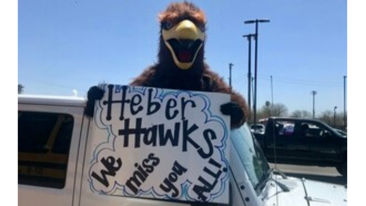 Heber Hawk