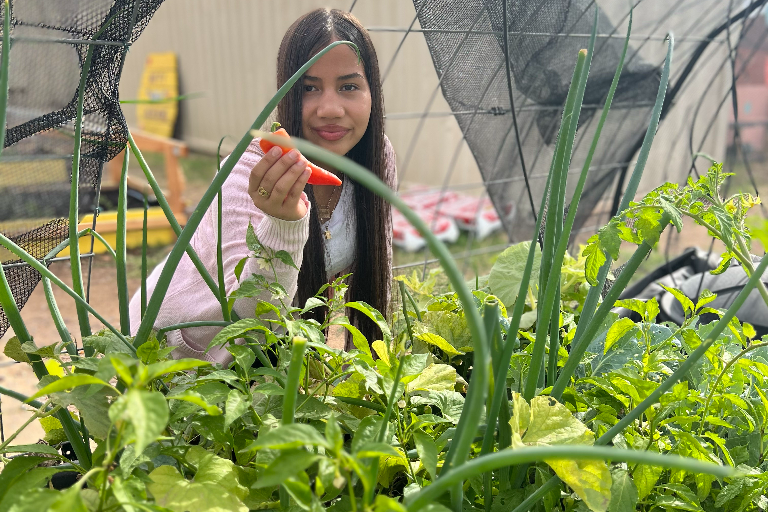 A student poses holding a pepper grown in the school's garden