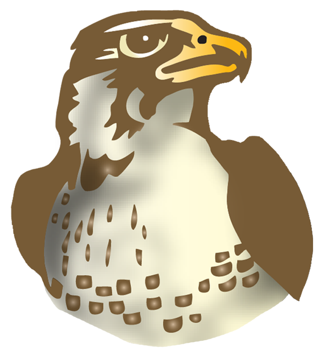 Live Feed Logan Elementary Live Feed Logan Elementary