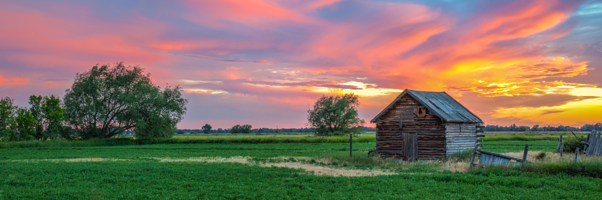 Sunset behind and old wooden shed and grassy field. 