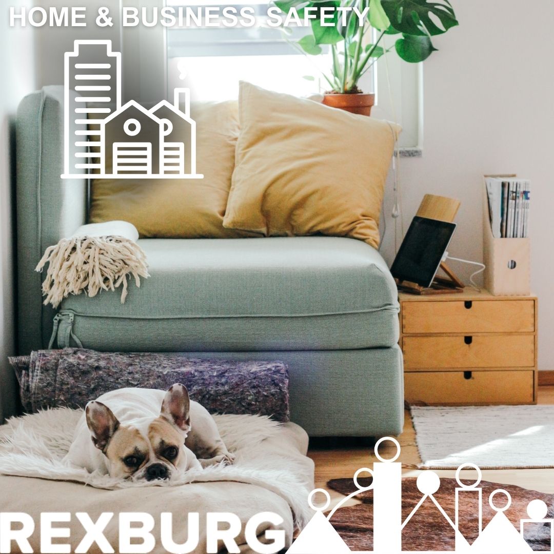 french bulldog laying on a dog bed in a cozy living room area