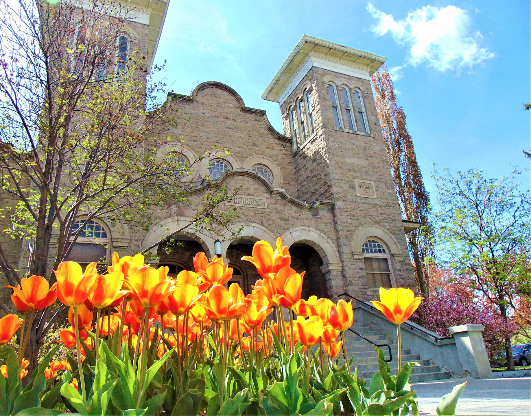 Tabernacle with tulips, photo taken from a lower angle, looking up at the building
