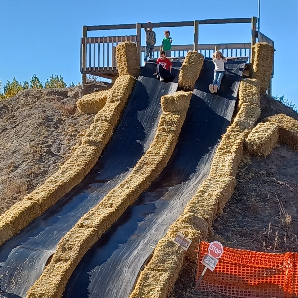 2 kids going down a haybale-bordered slide on a dirt hill
