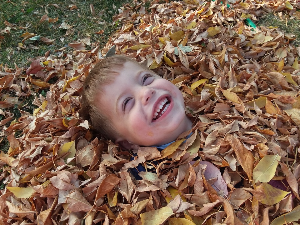 A young boy's head sticking out of a pile of fallen gold leaves on the ground