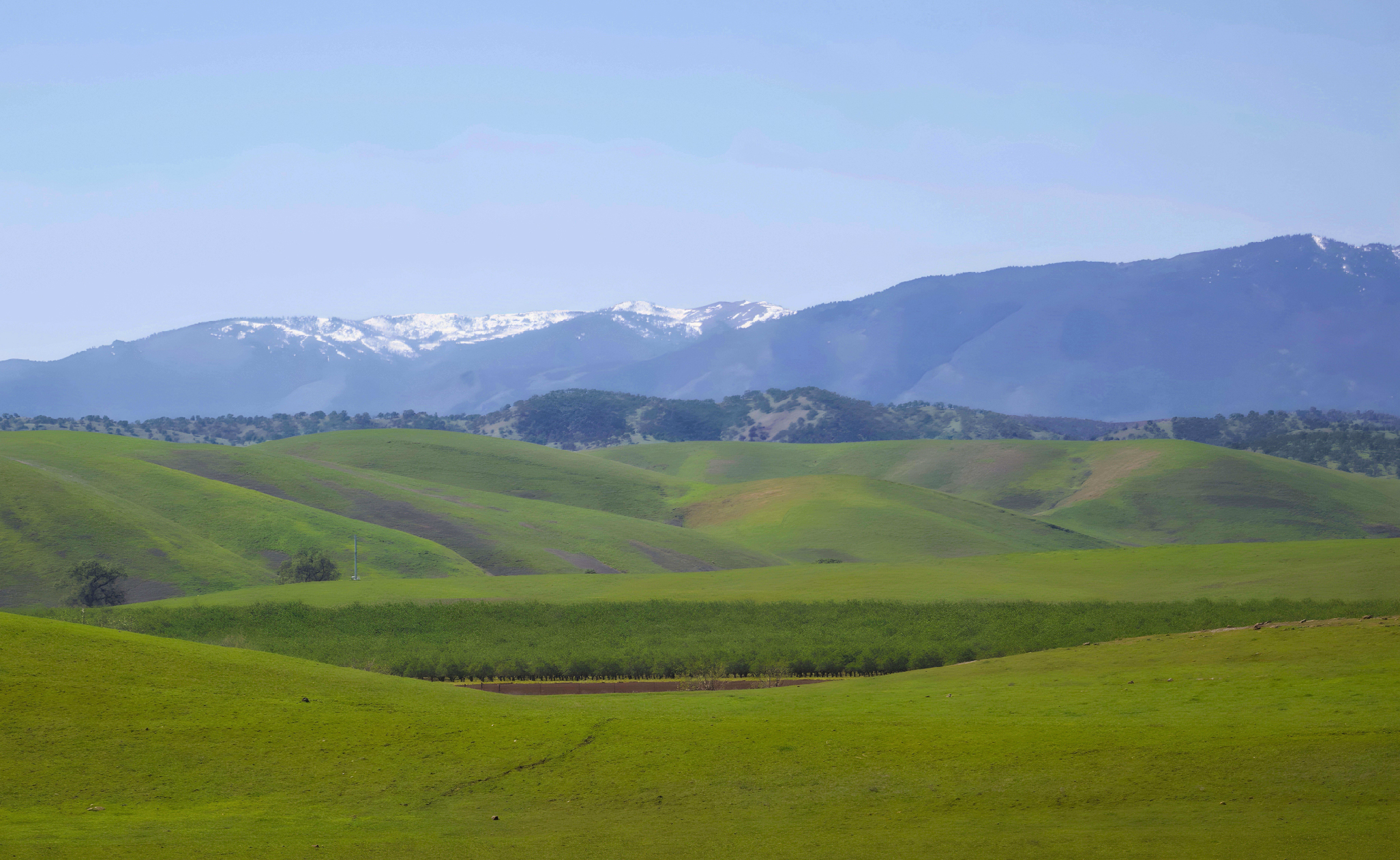 Green rolling hills and blue sky