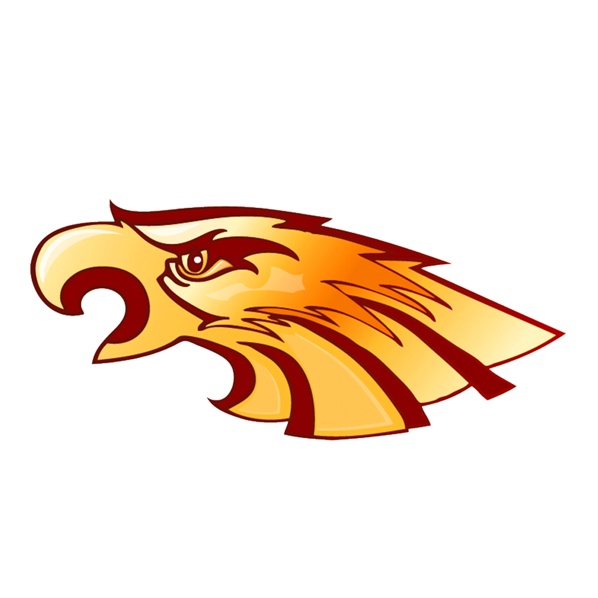 FAFSA Application Support Andress High School