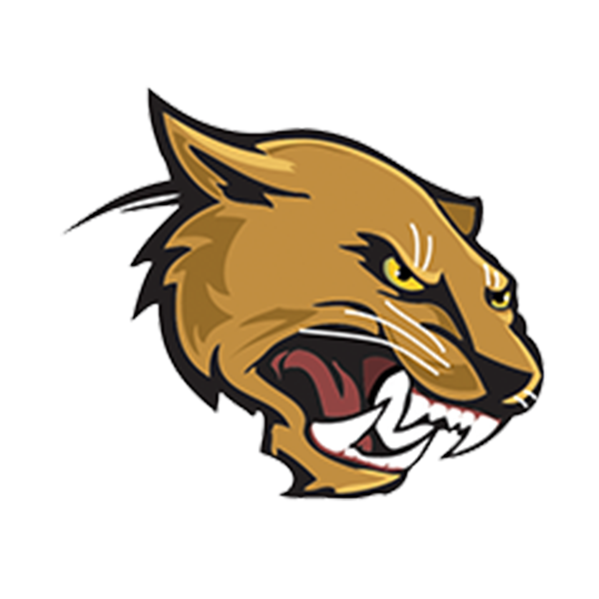 Events Austin High School