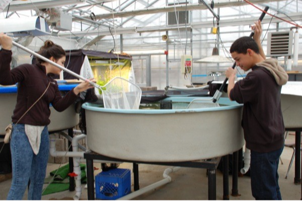 students in Conservation lab