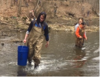 Conservation students working in a stream