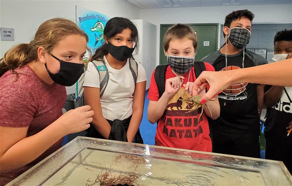 Kids looking at experiment