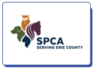 SPCA