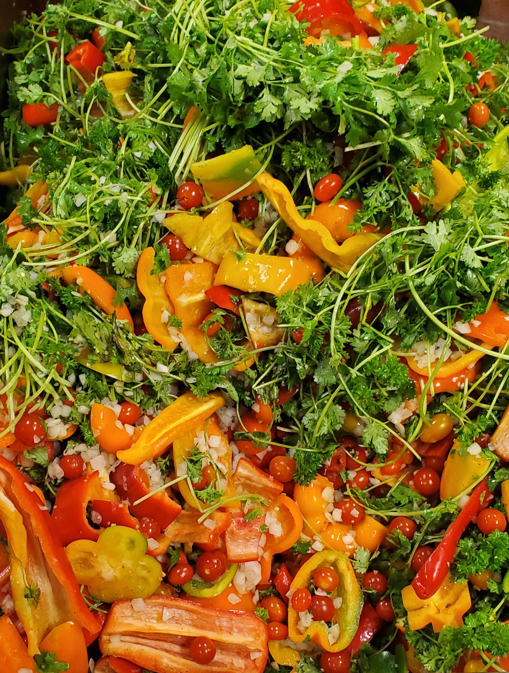 Sofrito ingredients: pepers, tomatoes, parsley and cilantro