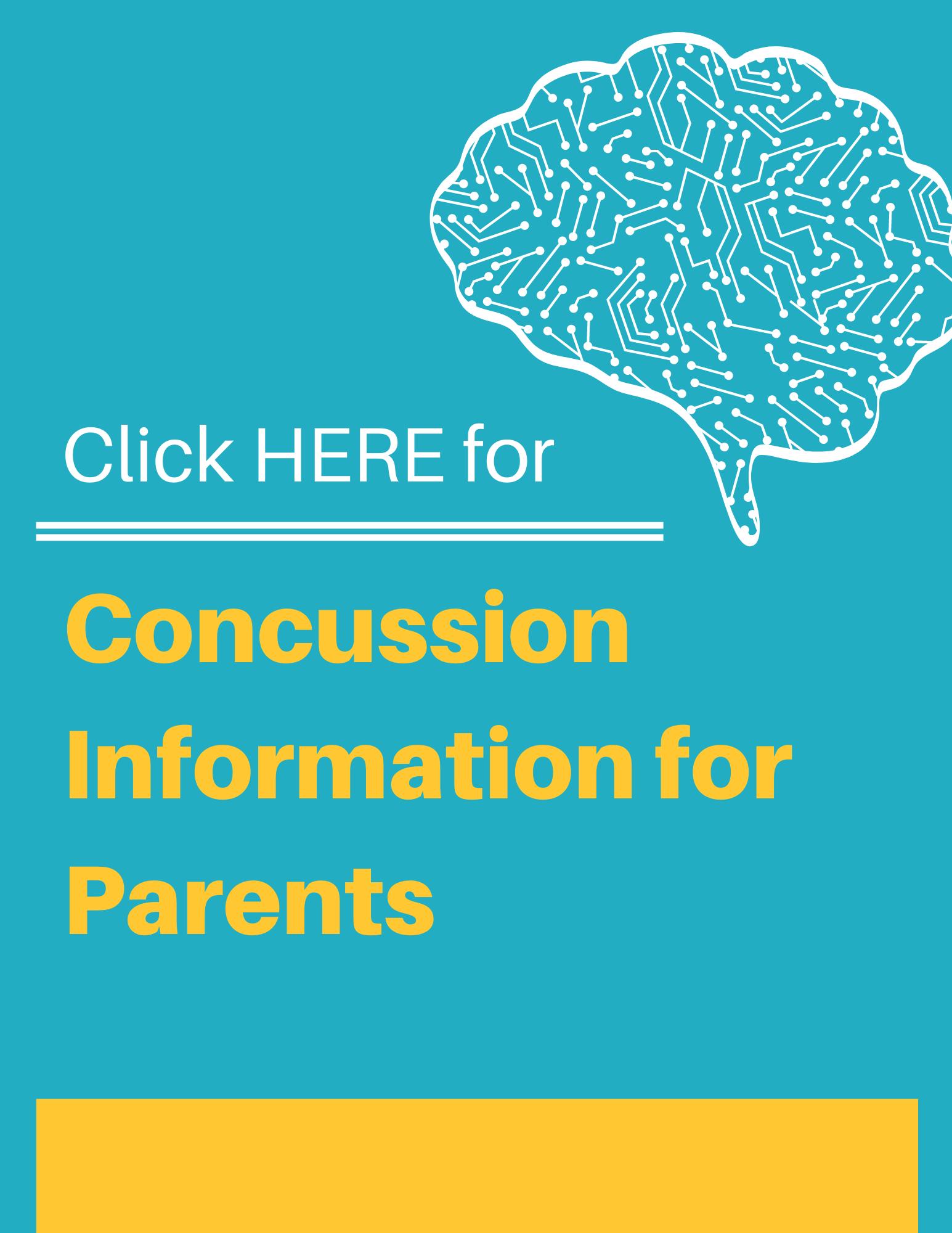Concussion info