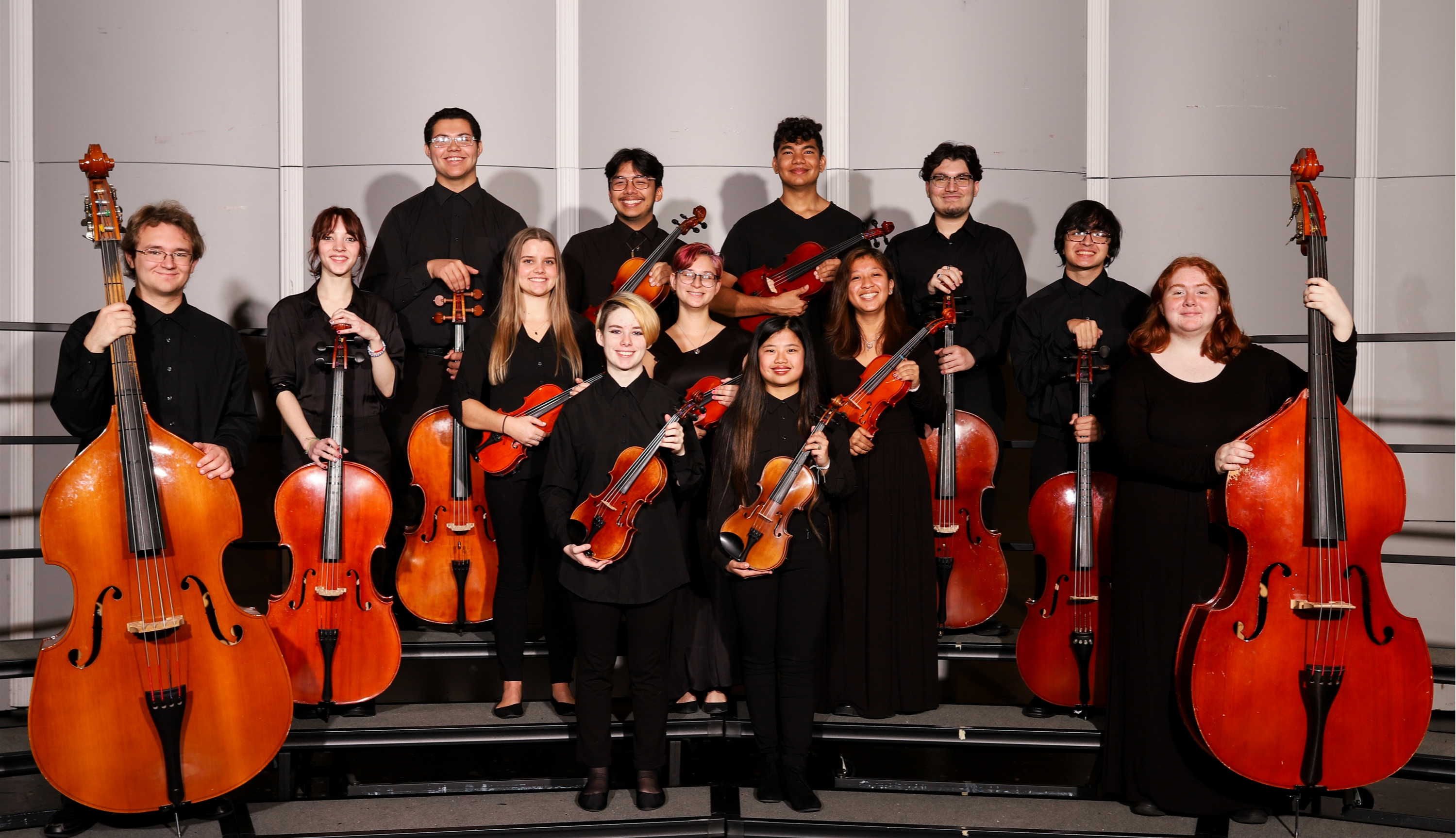 String Instrument Ensemble