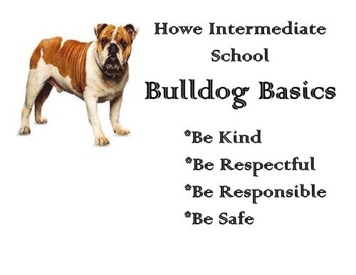 Bulldog Basics