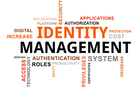 Identity Management Logo