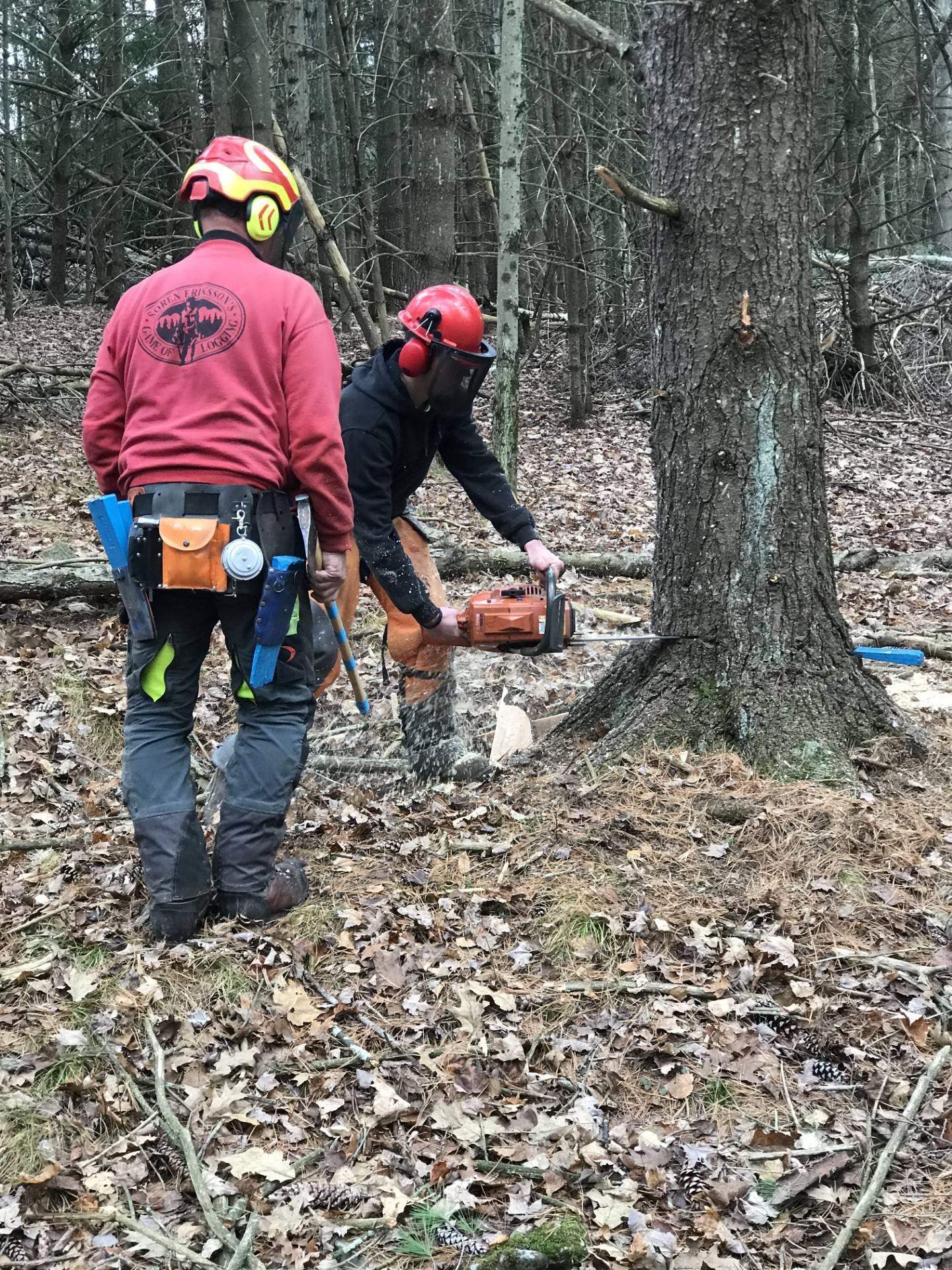 equipment and operations students cutting a tree