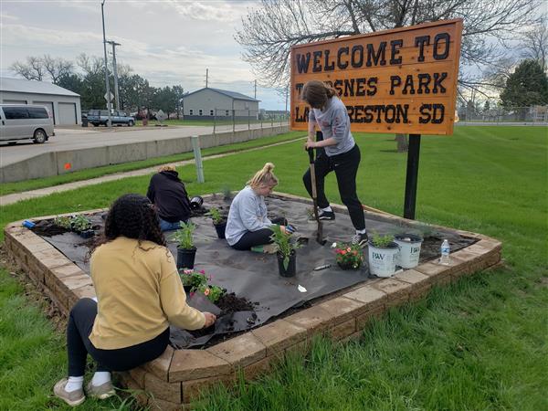 Four individuals planting colorful flowers in a lush garden.
