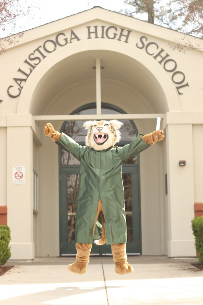 A mascot standing proudly in front of a school building.