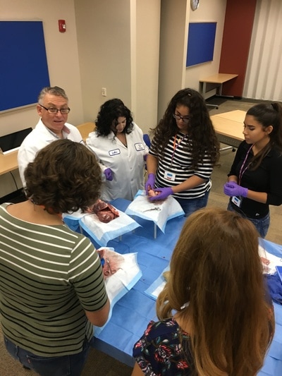 Students participating in Career Technical Instruction.
