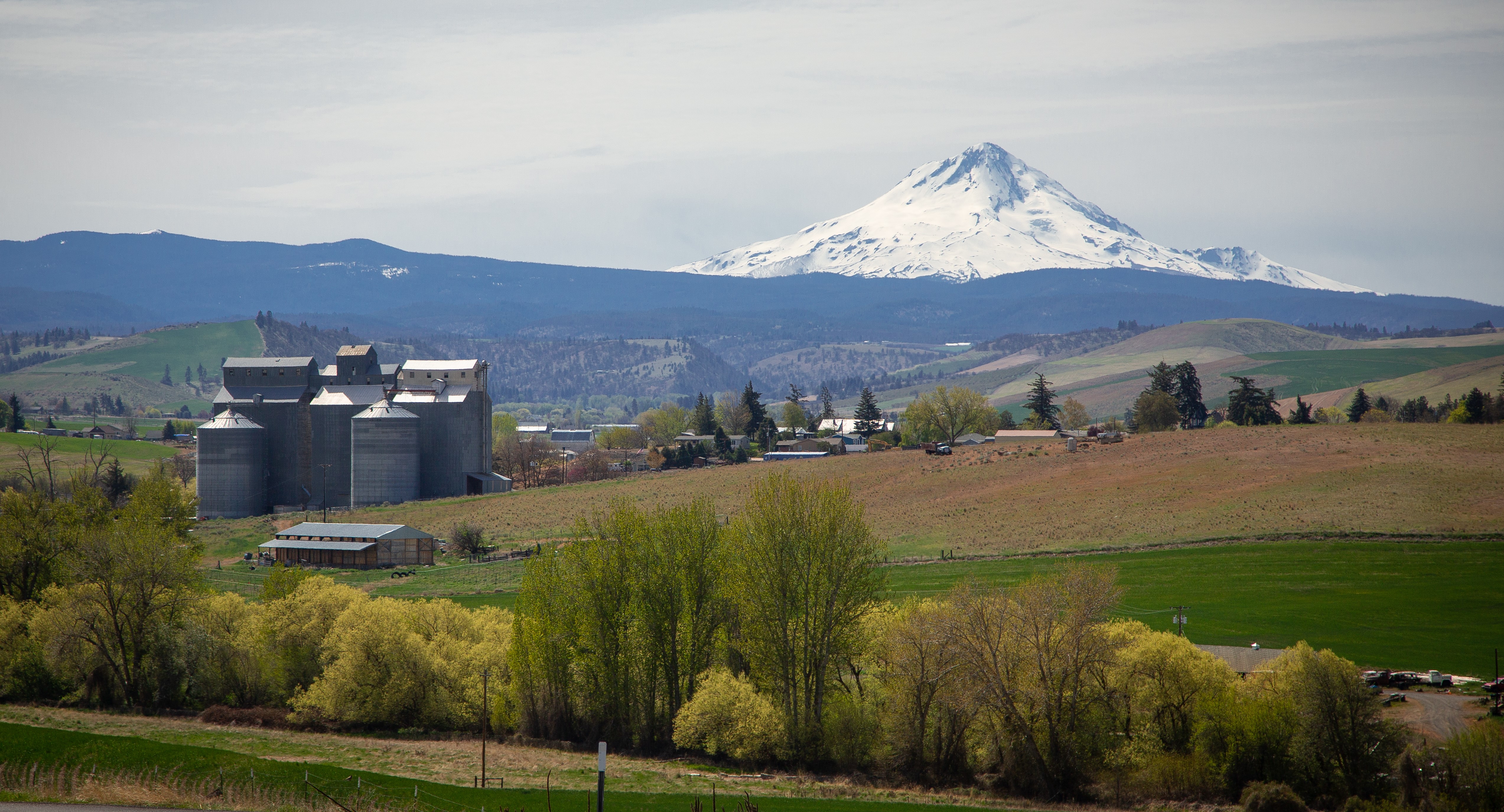 Mt. Hood and Grain Elevators