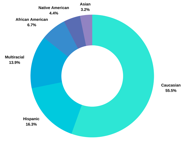 Pie chart with the following data: Caucasian - 55.5%, Hispanic - 16.3%, Multiracial - 13.9%, African American - 6.7%, Native American - 4.4%, Asian - 3.2%