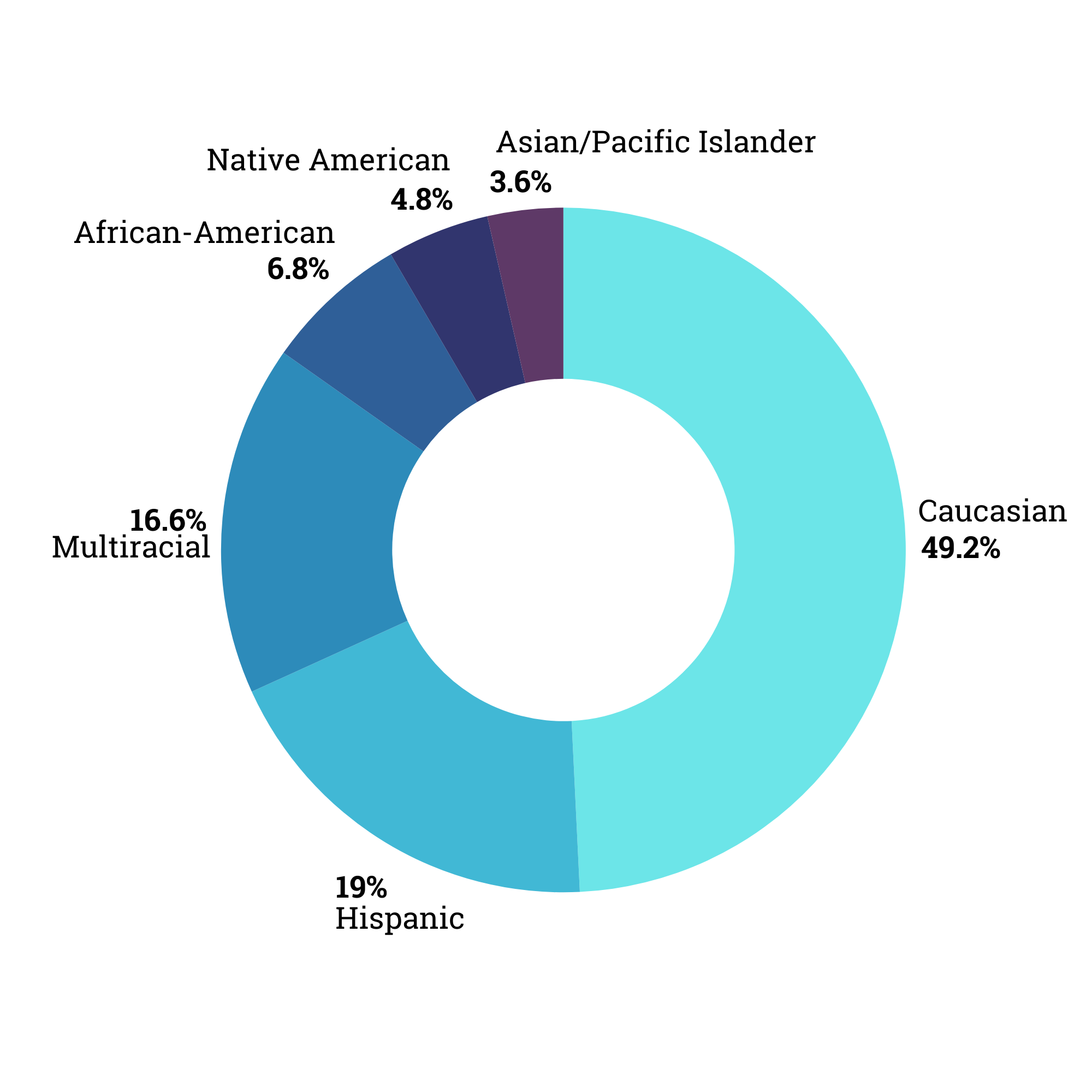 Pie chart with the following data: Caucasian - 49.23%, Hispanic - 18.97%, Multiracial -16.56%, African American - 6.82%, Native American - 4.84%, Asian/Pacific Islander- 3.57%