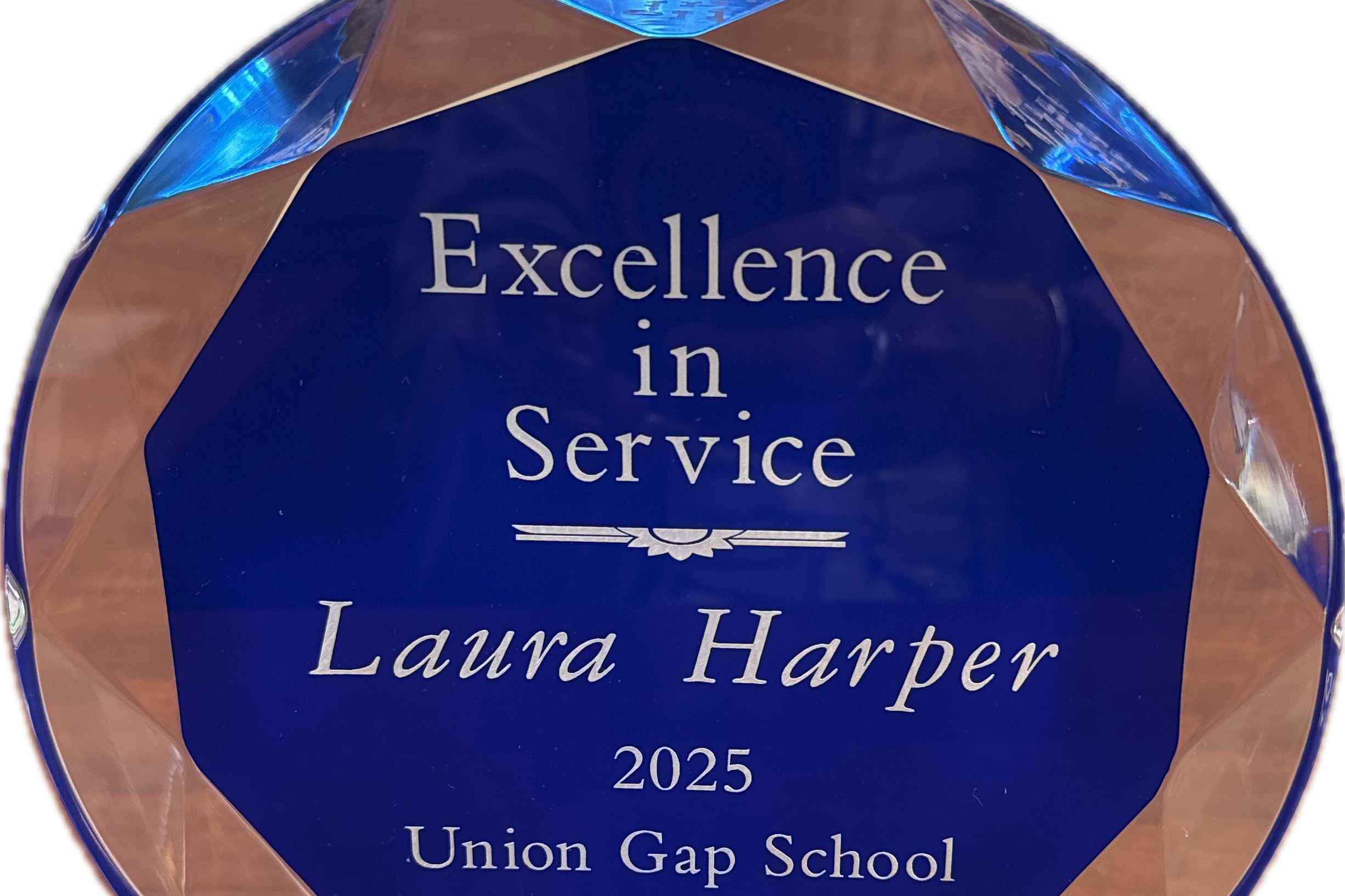 Award picture that say Excellence in Service