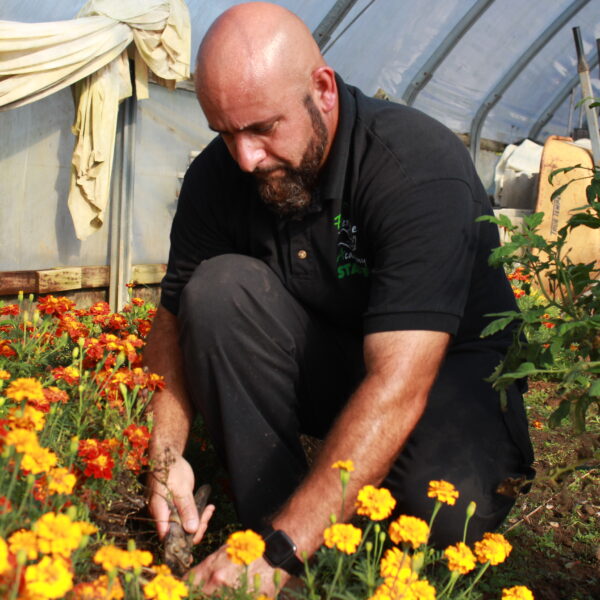 person picking up flowers