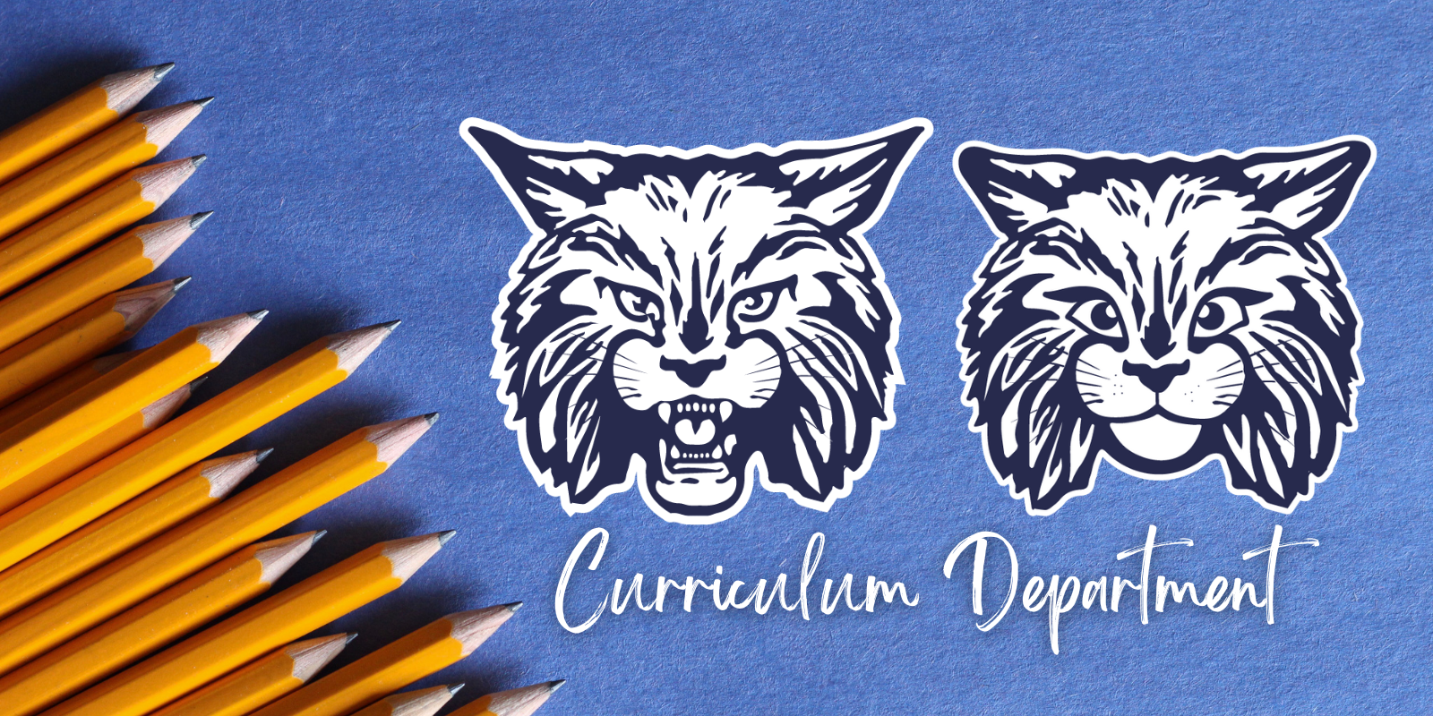 curriculum gallary