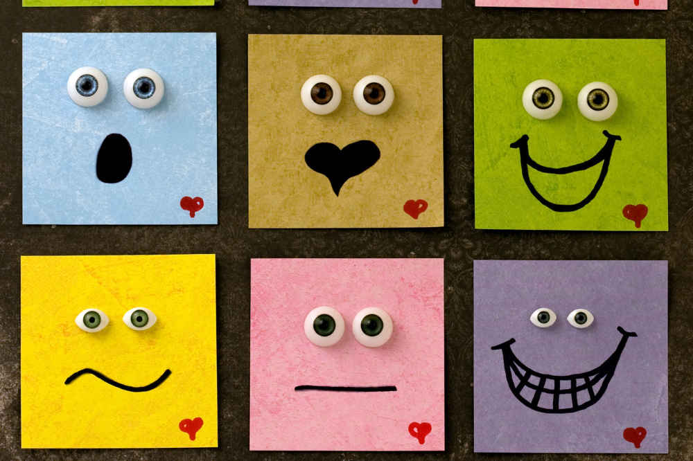 socio emotional