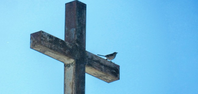 A small bird with brown feathers perched on the top arm of a cross. The sky is clear blue.