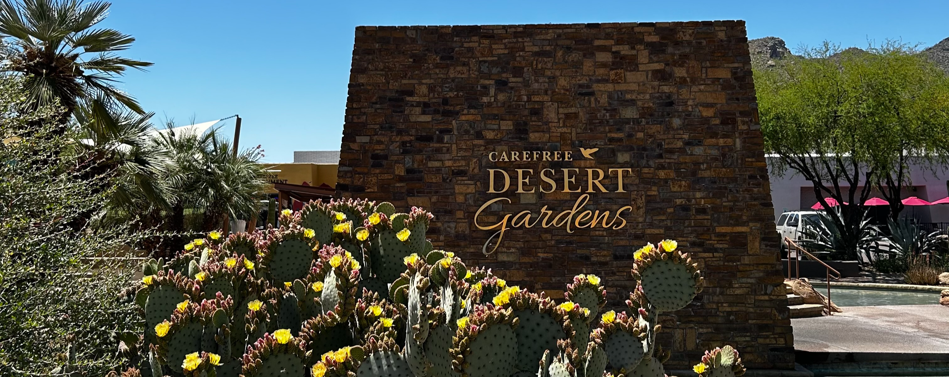 Carefree Desert Gardens sign with blooming cacti