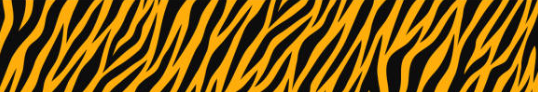tiger stripes