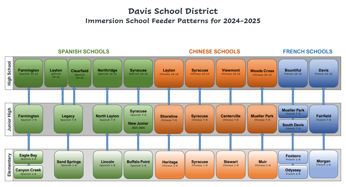 Immersion Feeder Pattern 2024-2025